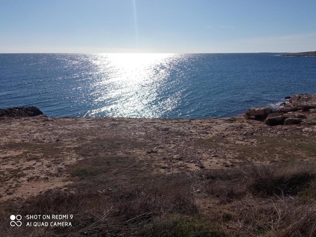 Mala Kuca Sa Velikim Grijanim Bazenom Antonio Βίλα Šišan Εξωτερικό φωτογραφία